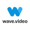 Wave-Video